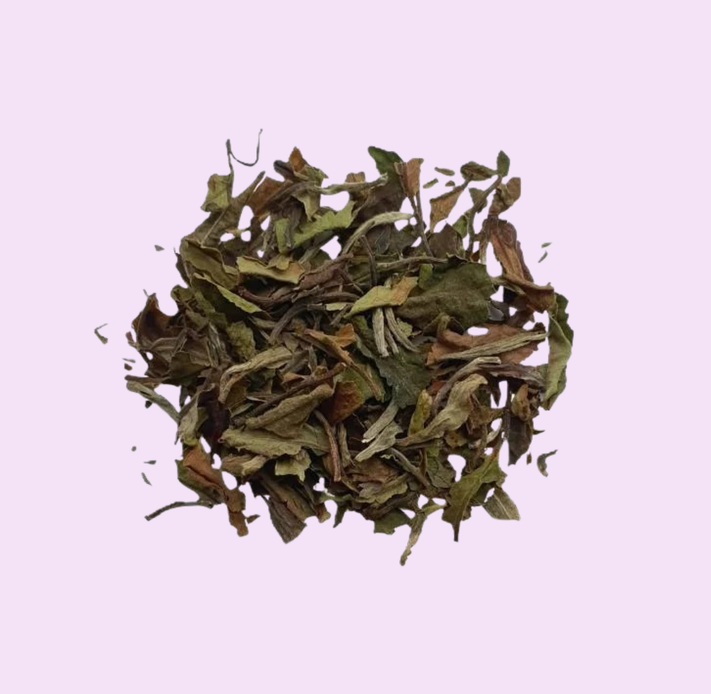 White Peony Luxury Chinese White Tea