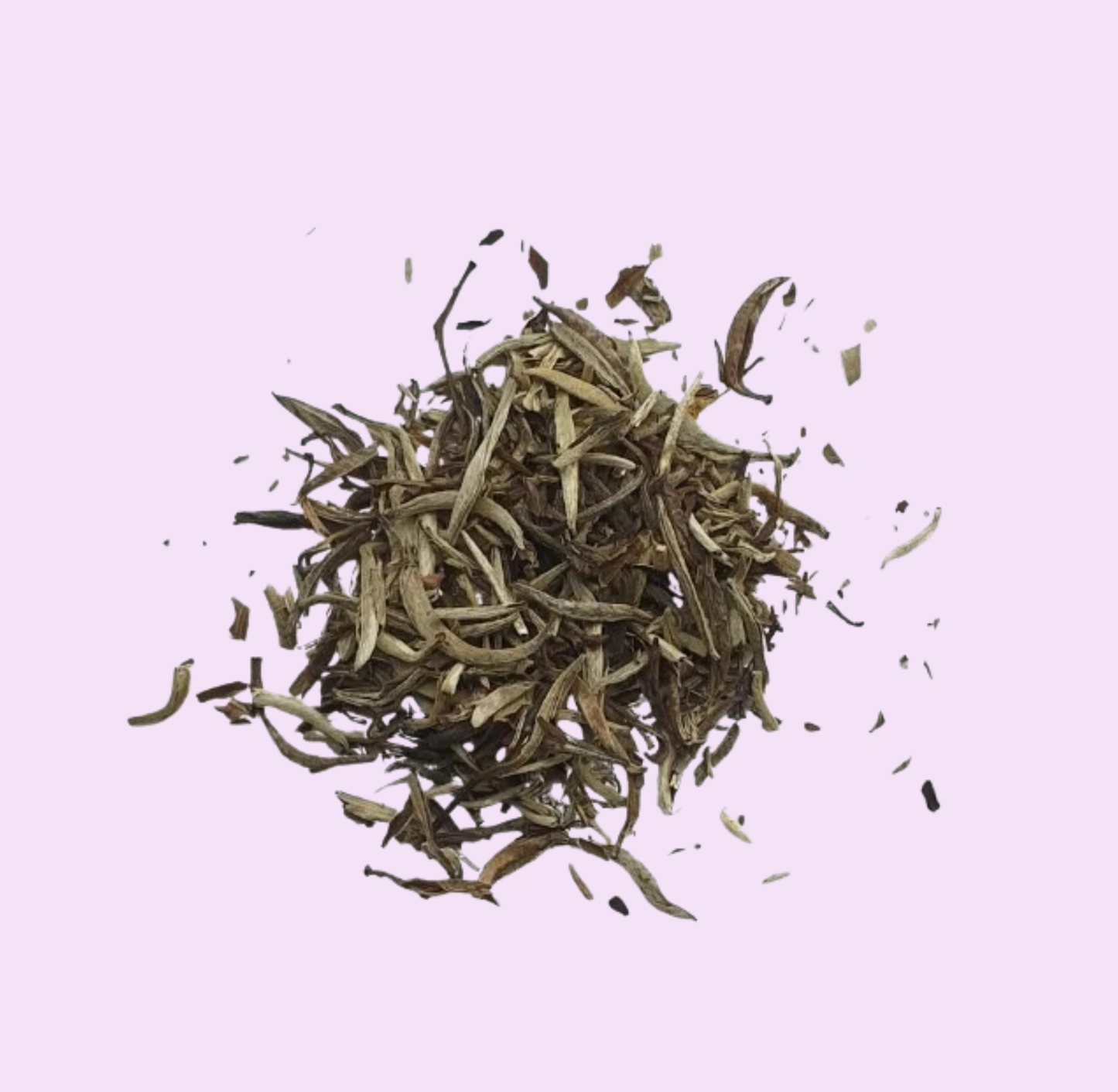 Jasmine Silver Needle
