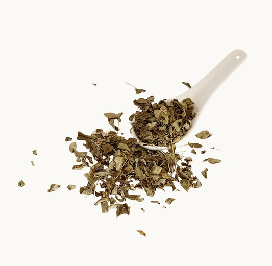 Moringa Leaf Herbal Tisane