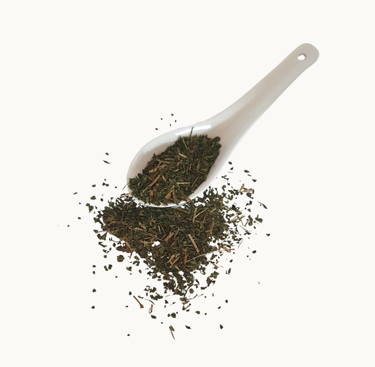 Nettle Herbal Tisane