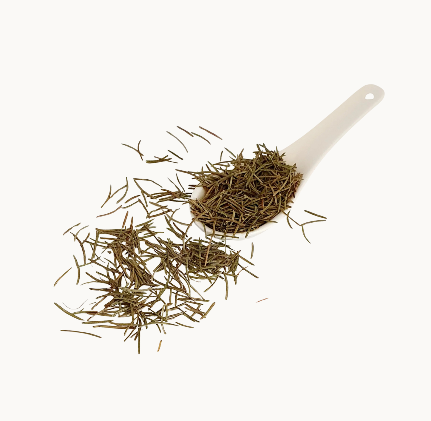 White Pine Needles Tisane